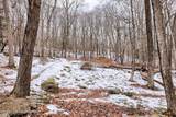 lot 560 Sparrow Road - Photo 7