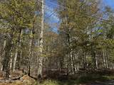  Red Spruce Road - Photo 3