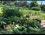 280 Coolbaugh Road - Photo 38