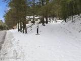 172 Evergreen Hollow Road - Photo 4