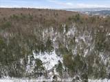 172 Evergreen Hollow Road - Photo 68