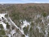 172 Evergreen Hollow Road - Photo 69