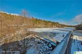 1242 Blue Mountain Circle - Photo 59