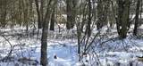 DP1445 Blackfoot Trail - Photo 1