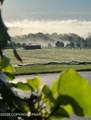 1212 Burger Hollow Road - Photo 11