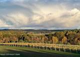 1212 Burger Hollow Road - Photo 22