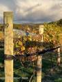 1212 Burger Hollow Road - Photo 23