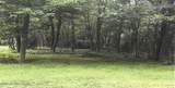  Pine Tree Rd 824 Road - Photo 1