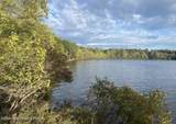  Pine Tree Rd 824 Road - Photo 11