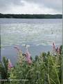  Pine Tree Rd 824 Road - Photo 23