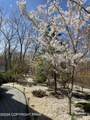 364 Joanne Court - Photo 49