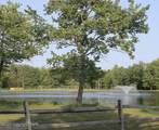 291 Deer Run Road - Photo 5