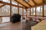 250 White Pine Drive - Photo 8