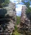 9 Sassafras Road - Photo 28