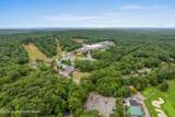 49 Forest Drive - Photo 82