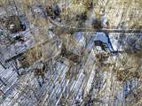 173 Bushkill Drive - Photo 40