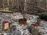 255 Buck Fever Trail - Photo 16