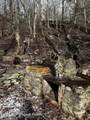 255 Buck Fever Trail - Photo 17