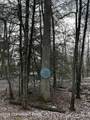 255 Buck Fever Trail - Photo 27