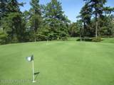 207 Hermit Thrush Road - Photo 30