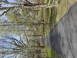 200 Mt Nebo Road - Photo 62