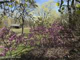 200 Mt Nebo Road - Photo 63