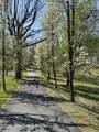 200 Mt Nebo Road - Photo 65