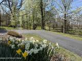200 Mt Nebo Road - Photo 66