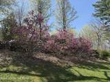 200 Mt Nebo Road - Photo 69