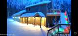 361 Birch Drive - Photo 75