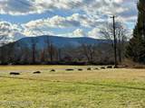 349 Shine Hill Road - Photo 24