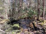796 Towamensing Trail - Photo 15
