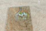 1212 Acacia Drive - Photo 86