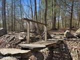 114 Forest Drive - Photo 38