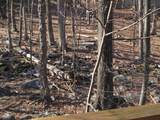 3420 Crestwood Drive - Photo 7