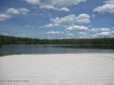 1111 Bear Track Trail - Photo 40