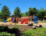 3204 Carobeth Drive - Photo 49