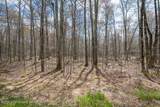 Lot 87 Pioneer Trail - Photo 3