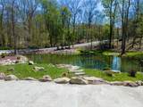 57 Lake Lane - Photo 64