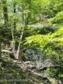 111 Little Doe Lane - Photo 8