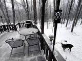 1328 Winding Way - Photo 72