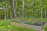 320 Ramblebush Road - Photo 49
