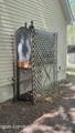 8232 Sunset Drive - Photo 46