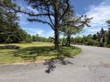 6315 Paradise Valley Road - Photo 15