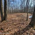 479 Jonas Road - Photo 5