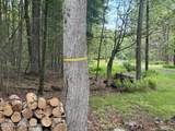 137 Outer Drive - Photo 46