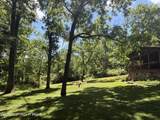 224 Doctor Lane - Photo 65