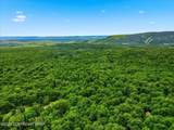 186 Sky Hawk Trail - Photo 10