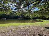 2221 Fernway Drive - Photo 39