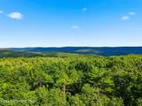 148 Tree Line Drive - Photo 55